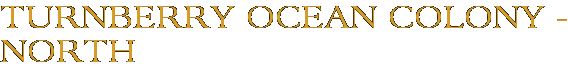 Turnberry Ocean Colony - North