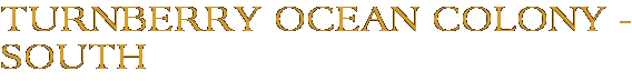 Turnberry Ocean Colony - South